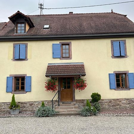 Gite La Maison De Jules Muntzenheim 외부 사진