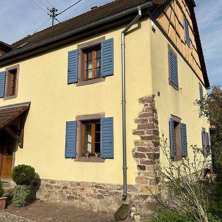 Gite La Maison De Jules Muntzenheim 외부 사진
