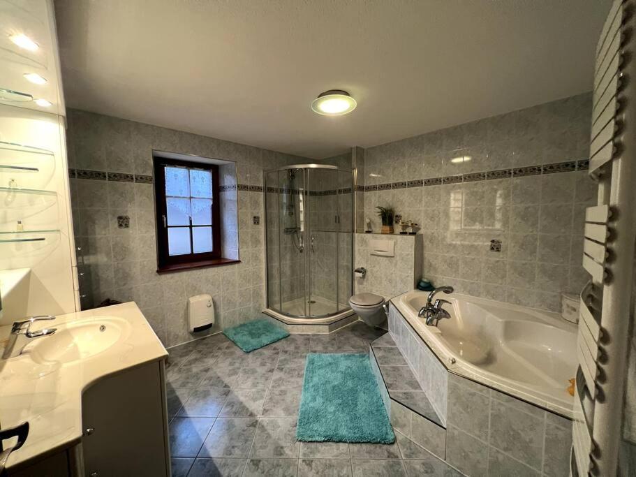 Gite La Maison De Jules Muntzenheim 외부 사진