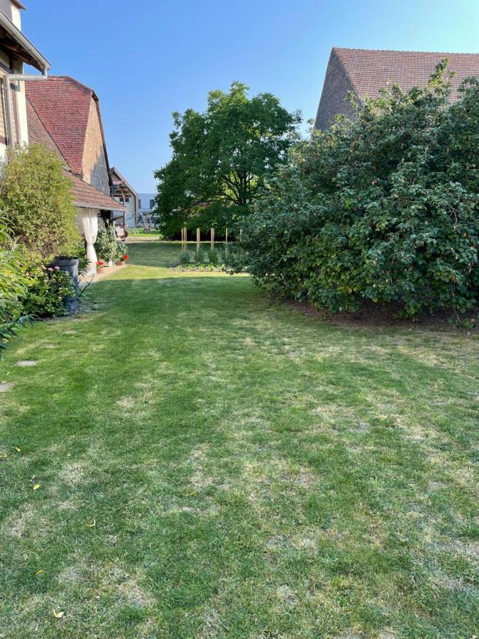 Gite La Maison De Jules Muntzenheim 외부 사진